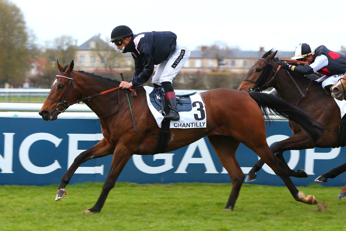 equidia's tweet photo. #Chantilly
@AntoGriezmann est un propriétaire heureux. L'attaquant de l'@equipedefrance et du @fcbarcelona_fra a vu son cheval Hooking (@lemaitre60LA / @PDecouz) renouer avec la victoire dès sa rentrée dans le Prix de Bourfontaine (R1C9). @fgchantilly https://t.co/kaMt0nOWAY