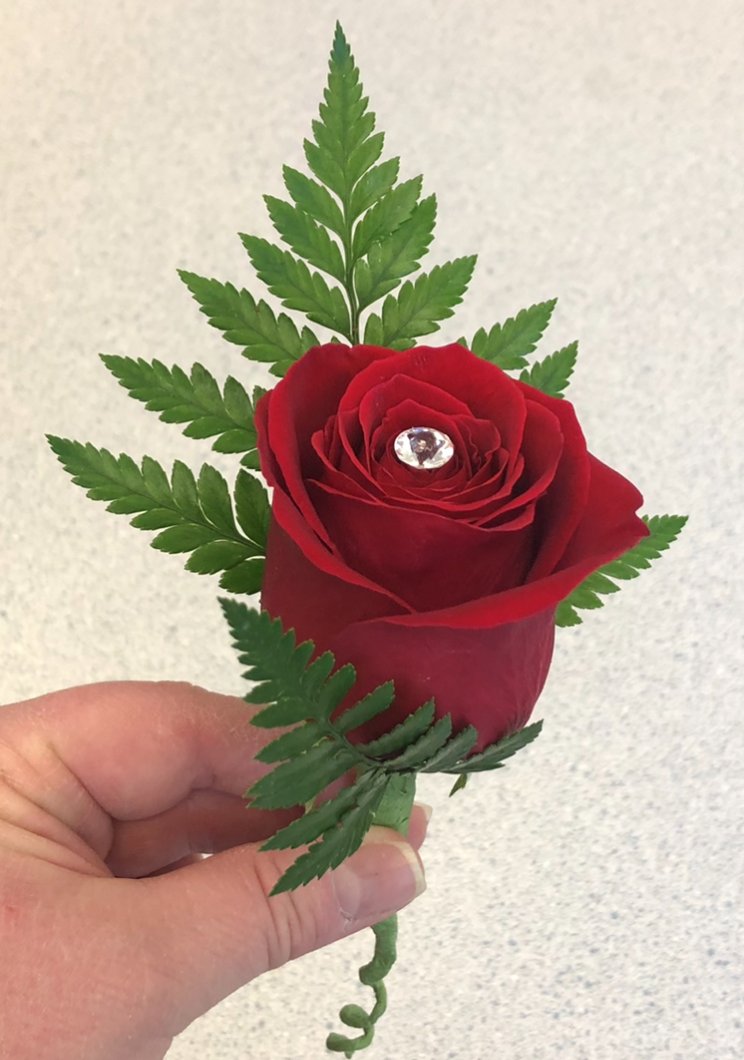 tsfa.org/highschoolflor…
Our floral design students are prepping for state LVL1 
 High School Floral certification and added embellishments... 💎💎💎💎💎💎
"Boutonnieres" with Bling! #weddingflowers #flowerstowearandcarry <a href="/boswell_cte/">Boswell CTE</a>