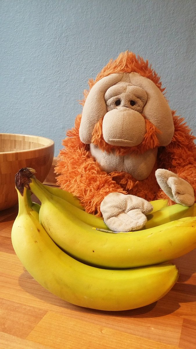Happy Easter friends🐣I hope you all ate as much as I did🍌🍌🍌 #Easter2021 #HappyEaster2021 #bananas #PalmOil free! #Easter #orangutans
