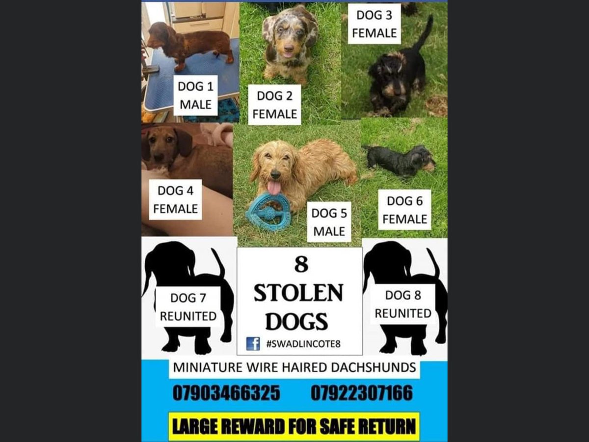 🆘🆘2 found injured and traumatised. 6 still missing. What have these vile thieves done to these dogs. This is the car that stole them. Please retweet 🆘🆘