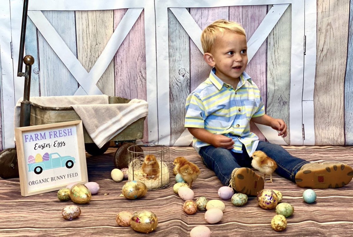 GISDbuccaneers's tweet photo. Little Bucs had some cute little visitors for Spring pictures! 🐣🤍 #GISDlilbucs https://t.co/xiCNR4Ugt6