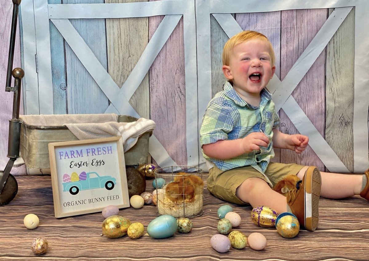 GISDbuccaneers's tweet photo. Little Bucs had some cute little visitors for Spring pictures! 🐣🤍 #GISDlilbucs https://t.co/xiCNR4Ugt6