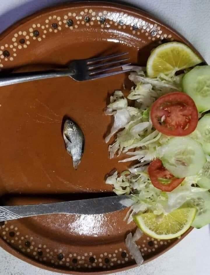 Gotitadeagua12's tweet photo. Yo tambien cocine pescado! #healthylifestyle #cocinaresmipasion #bestcookintheworld https://t.co/sXgspZYqpP