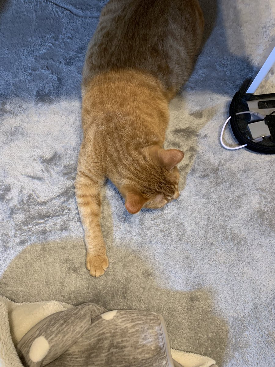 えどさん えどさん