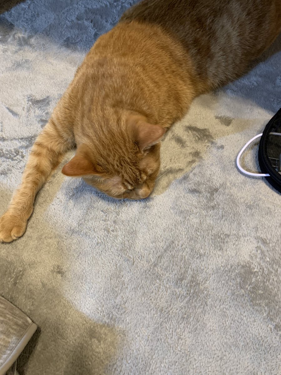 えどさん えどさん