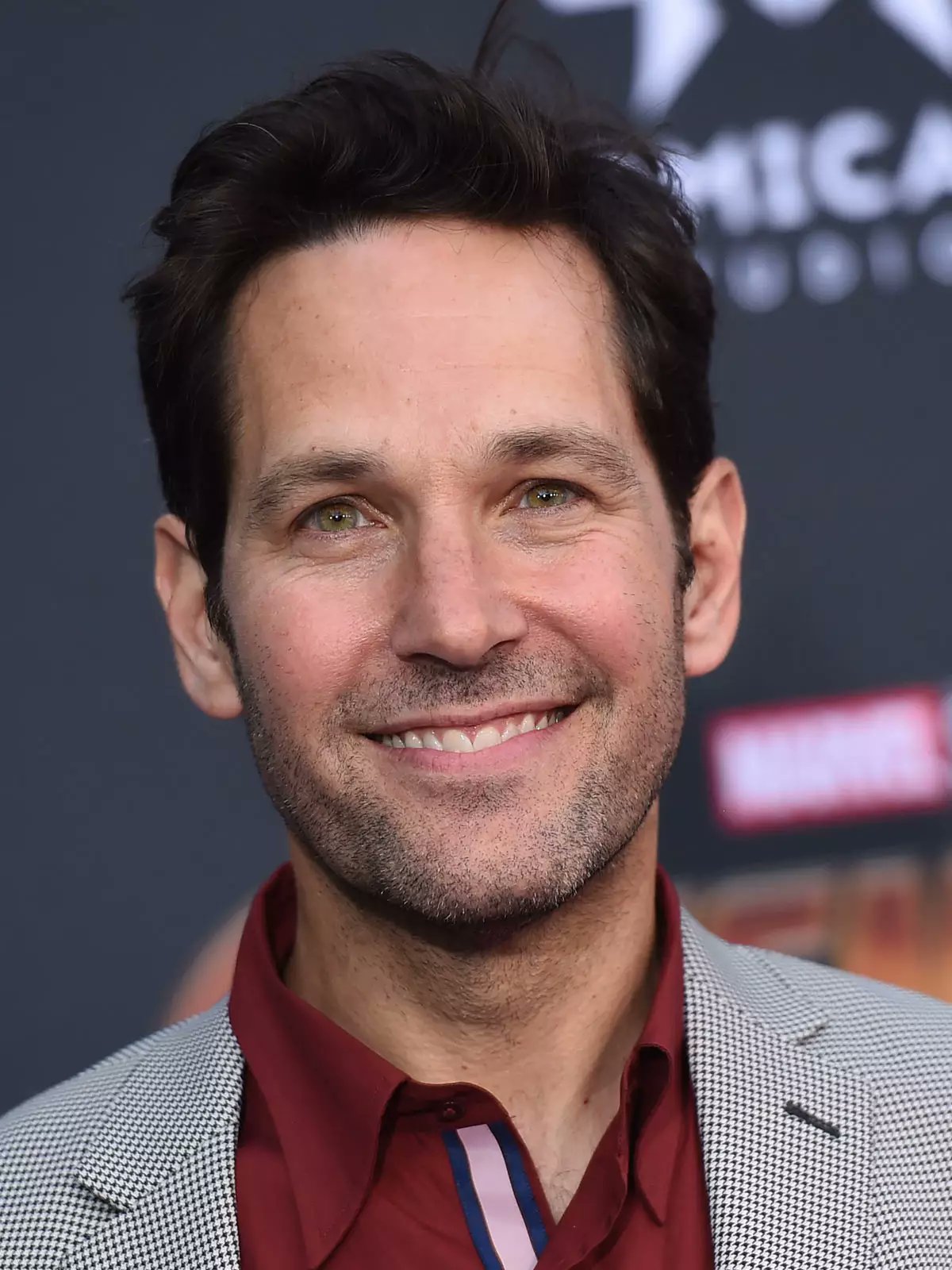 Happy birthday to the beautiful Paul Rudd, the actor who plays Ant Man at the MCU 