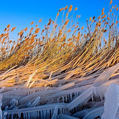 Heliox Media tweet media