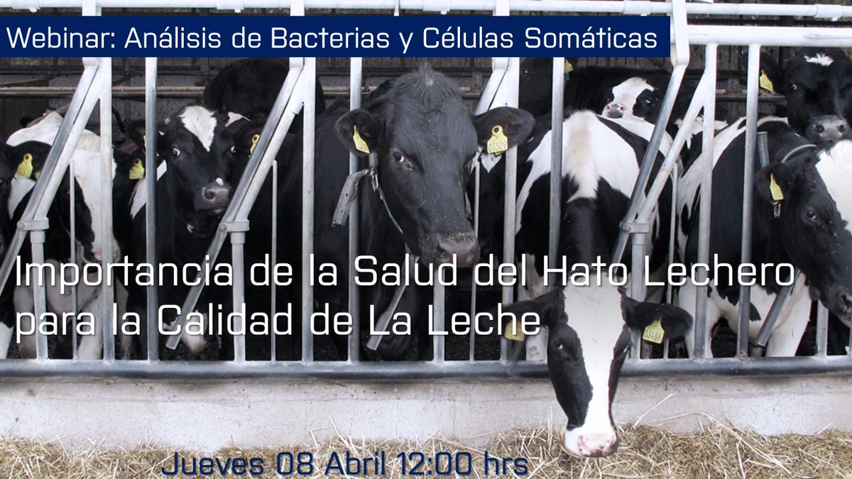 FOSS_Mx's tweet image. Webinar: Análisis de Bacterias y Células Somáticas
 Jueves 8 de abril, 12:00 hrs
Liga de acceso TEAMS:

teams.microsoft.com/l/meetup-join/…