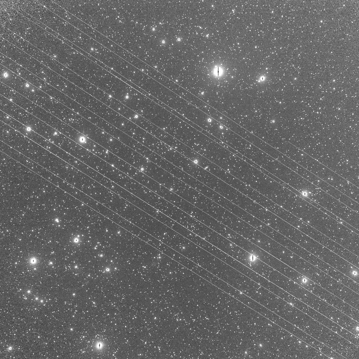 dhvanil12299's tweet photo. More #Starlink crap as seen by ASAS-SN from South Africa!

#Starlinked https://t.co/BlmGpxNNTE