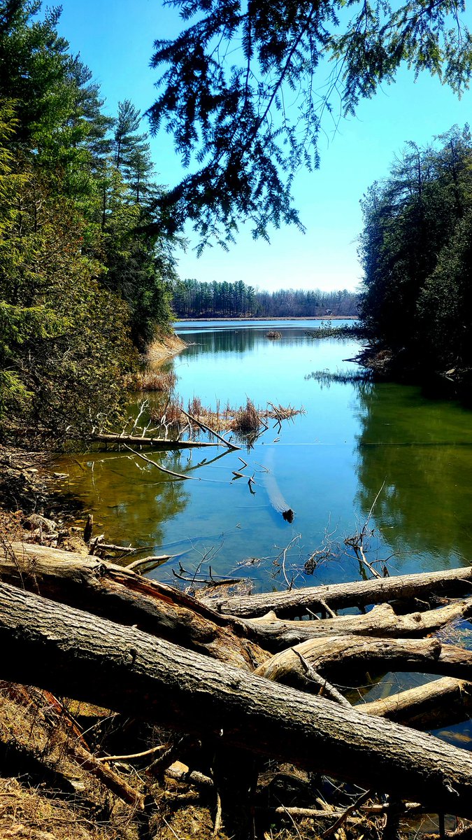 MoRadio_'s tweet photo. Took advantage of my day off and went for a walk.
@CataraquiCA #parrotsbay #amherstview https://t.co/px0oErvya6