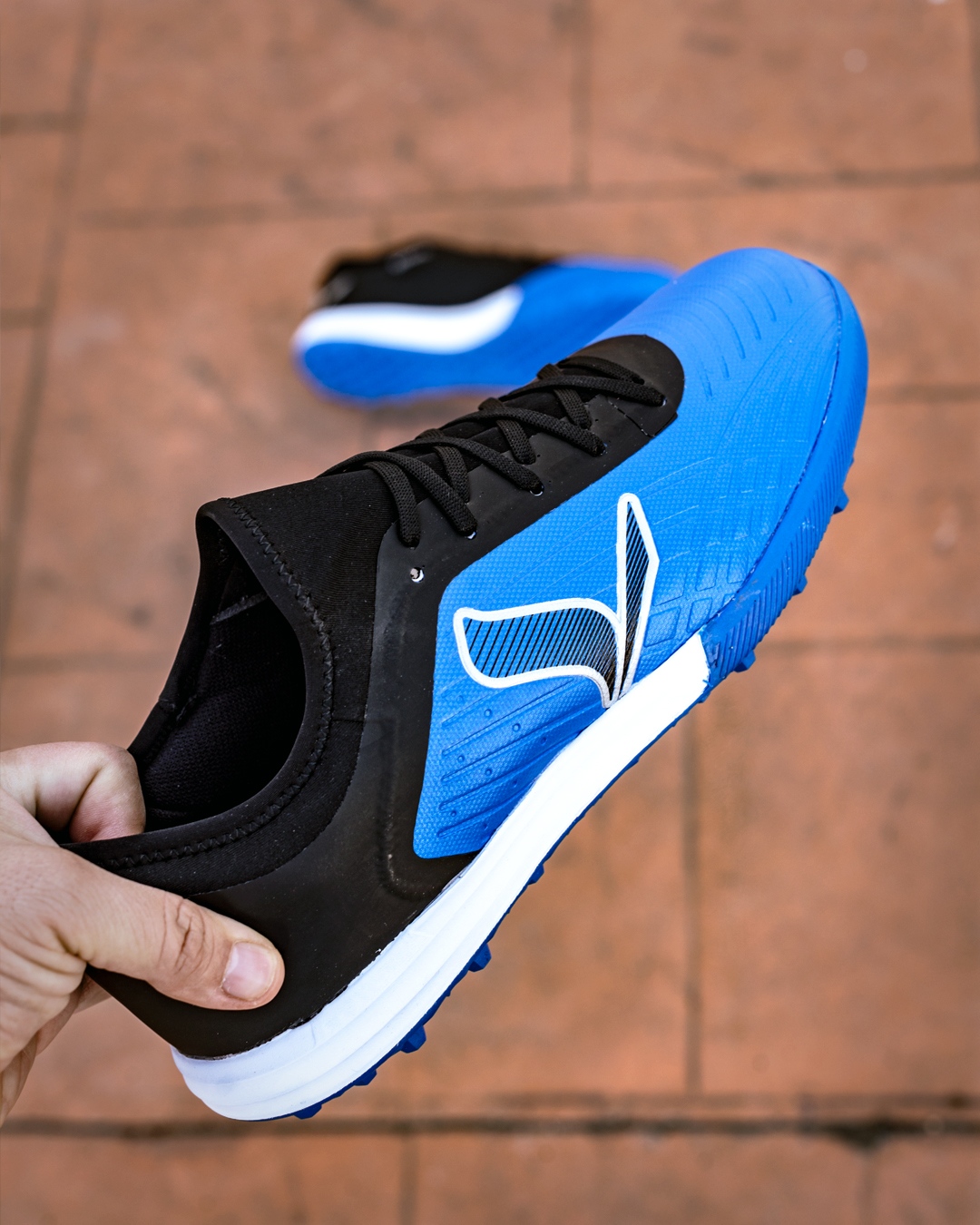 Descubrir 60+ kampa zapatos última tnbvietnam.edu.vn