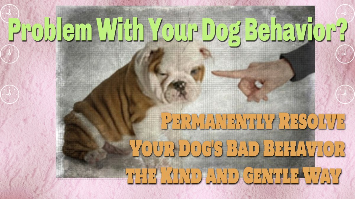 PackLeader01's tweet photo. The bright side is that you are not alone! And there’s a simple approach which is not more training! No, it is not the quantity that is important to bear fruits, but the quality of the result that is important. #DogBehavior #dogtrainingtips https://t.co/cGSpWYKWoi https://t.co/7HyW7vM20H