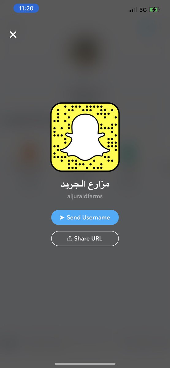 العرض الثاني البكج كامل ب٣١٠ ريال فقط 😍🔥
نوصل لجميع مناطق المملكة .. تنورونا بالسناب 
والطلب عبر موقعنا بالبايو ✅
#الرياض_lلان #سكاكا_الجوف #القصيم