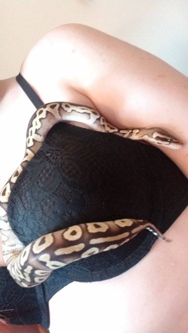 Wanna come play with me? 😘😘😘 https://t.co/T5tqPxYFi3 https://t.co/gOnNDvwOOv