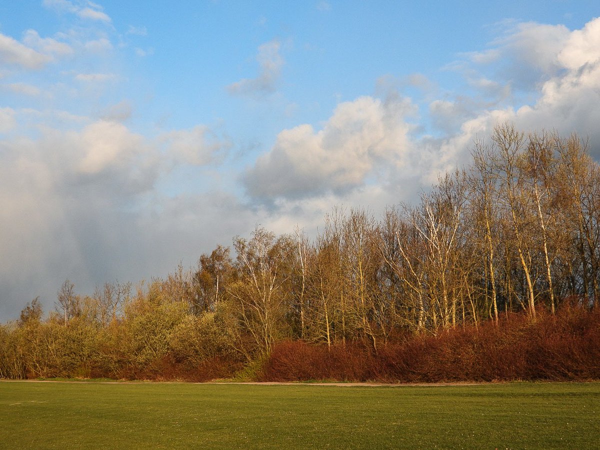 Sue Billcliffe tweet media