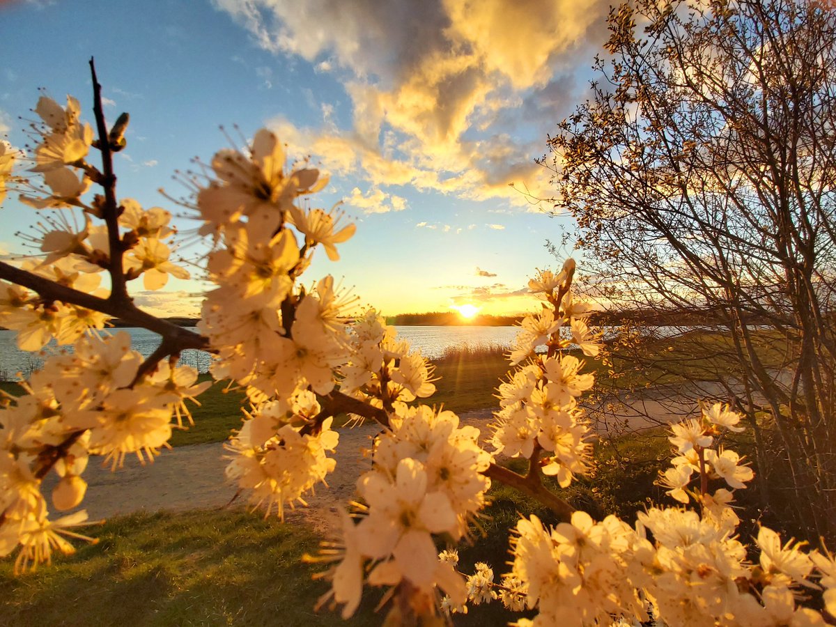 Sunset at anglers country park wintersett @JonMitchellITV <a href="/kerriegosneytv/">Kerrie Gosney</a> <a href="/itvweather/">ITV Weather</a> <a href="/Hudsonweather/">Paul Hudson</a> <a href="/bbcweather/">BBC Weather</a> <a href="/metoffice/">Met Office</a> <a href="/AnglersPark/">Anglers Country Park</a> <a href="/WkfdOfficial/">Wakefield Official News</a> <a href="/Expwakefield/">Experience Wakefield</a> #wakefieldweekly <a href="/WakeExpress/">Wakefield Express</a>