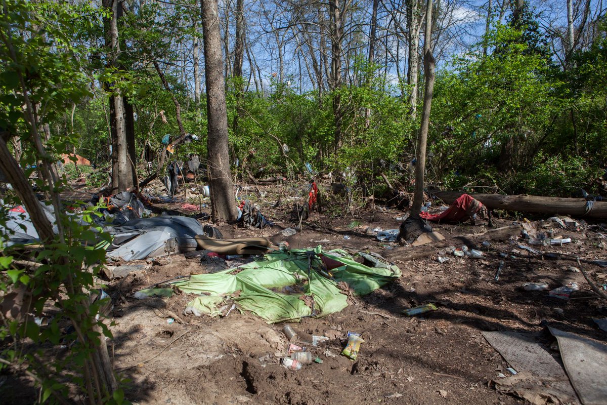 Hands On tweet media