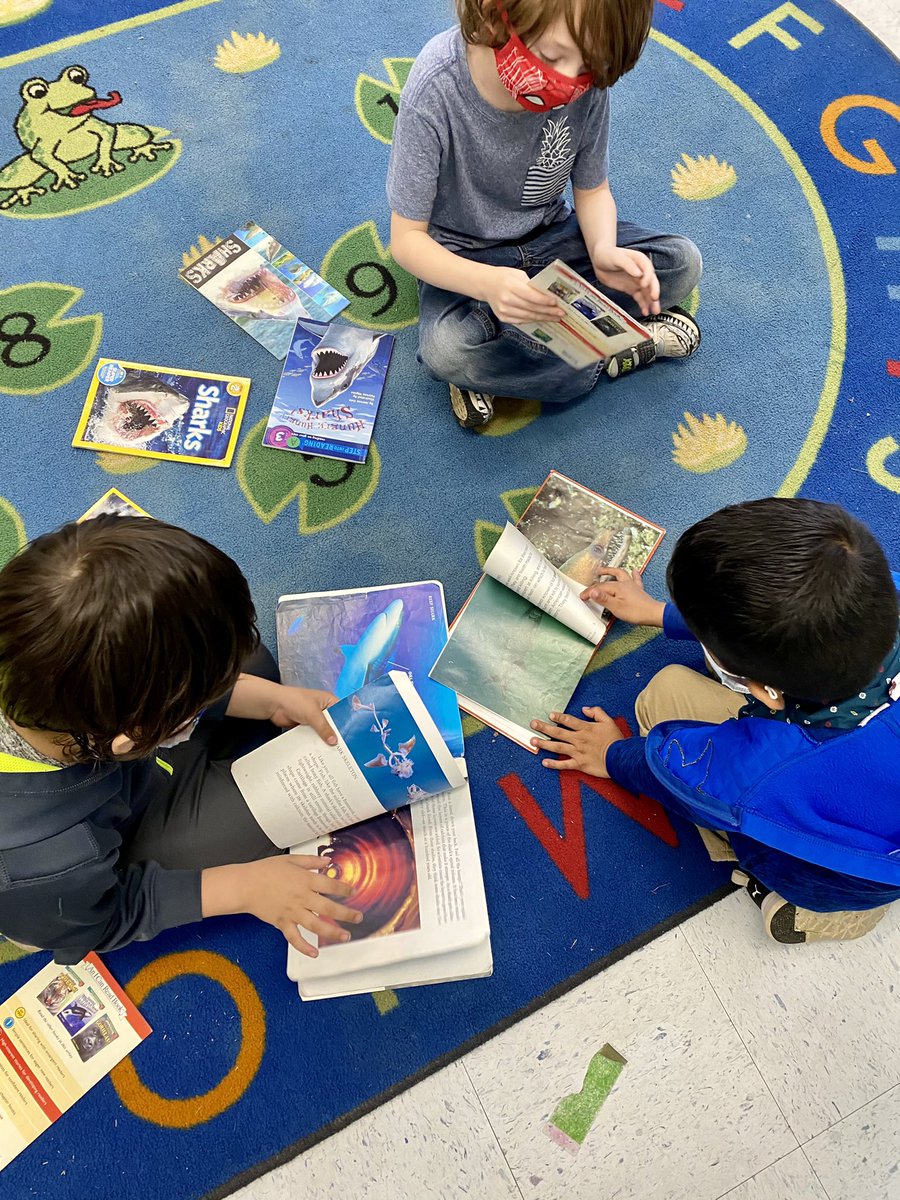 TaylorTweetsK's tweet photo. We explored our research materials today searching for facts, pictures and diagrams. We love informational books! @HooverSchools @GreenValleyElem #gvgatorstrong https://t.co/JjDFKYD7nz