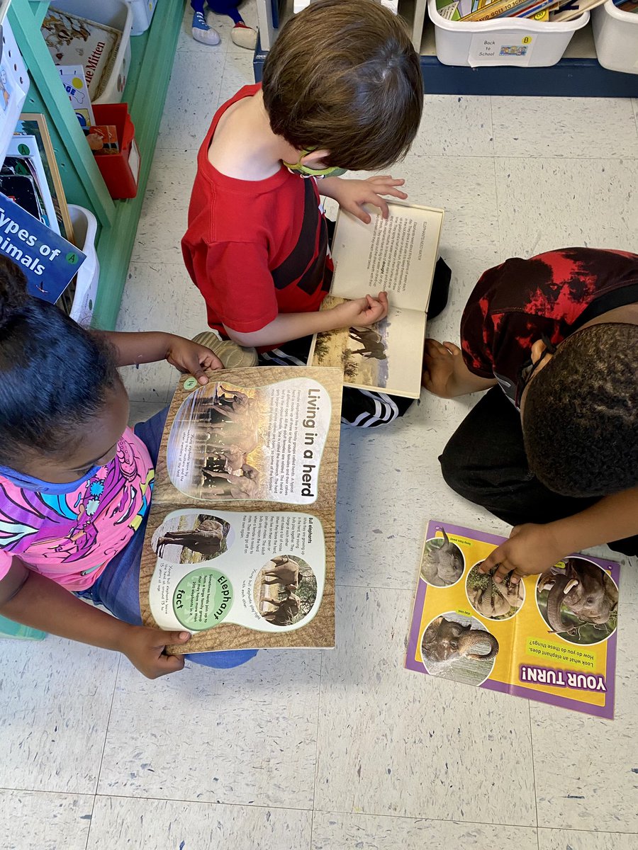 TaylorTweetsK's tweet photo. We explored our research materials today searching for facts, pictures and diagrams. We love informational books! @HooverSchools @GreenValleyElem #gvgatorstrong https://t.co/JjDFKYD7nz