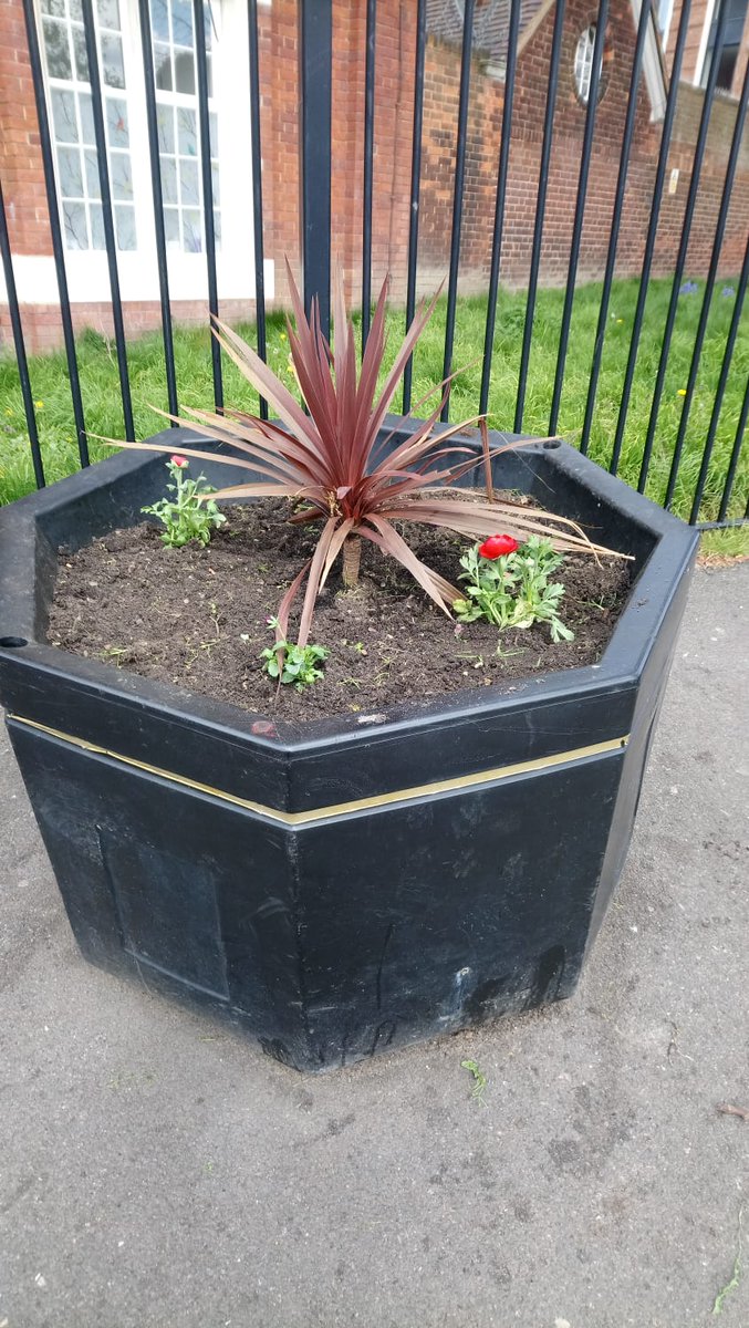 On this Sunny Bank Holiday, Alisa and I have cleared weeds and planted some flowers in the flower pots outside the Norbury Park entrance opposite the station