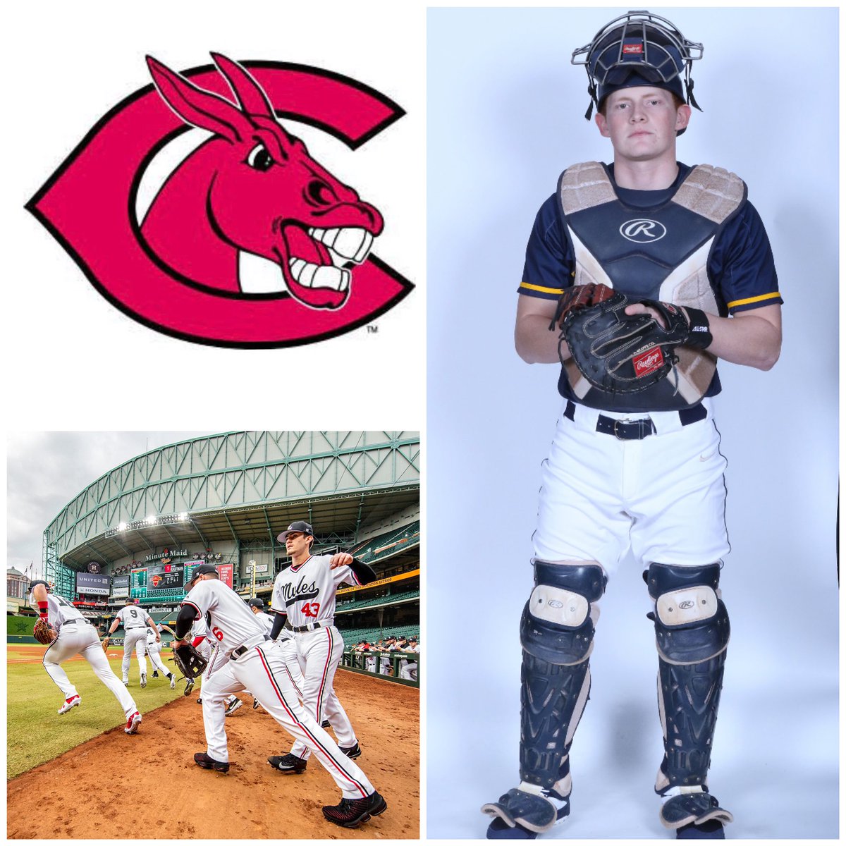 Alejandro Torres tweet media