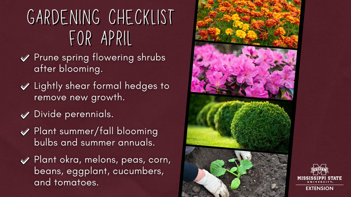 ICYMI: Got your gardening gloves ready? Here's your checklist for April! Blog post: ow.ly/7ti350EgTWL #MSUext 🌿🌺☀️