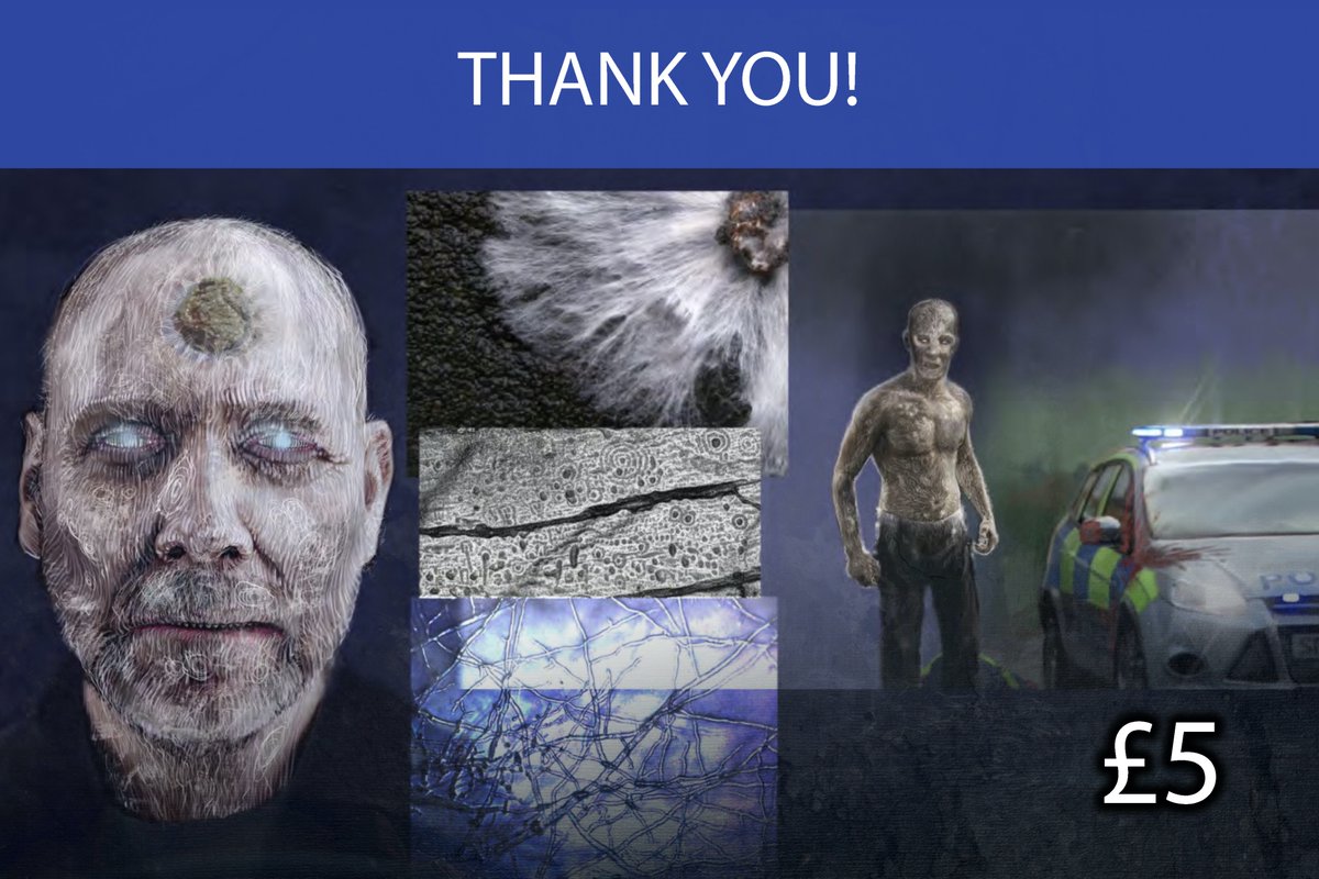 We are just £2 from 29% funded... Who's going to get us over that line? Perks start at just £5.

igg.me/at/skinjacker/…