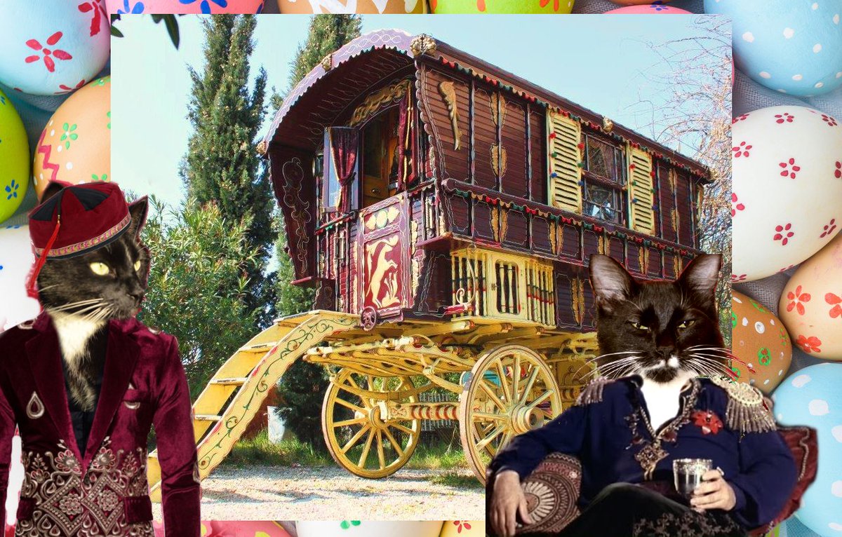 MrWuggums's tweet photo. Hey everyone!
We're back at the Xanawu #chilltent with our wagons and noms....we'd like to thank everyone at the #SuperSeniorCatsClub for a fabulous time, filled with fun and furriendship...such a beautiful setting, such gracious hospitality - we love mew!ππ½
Anyone hungry?πΊ https://t.co/WTn437Hzdr