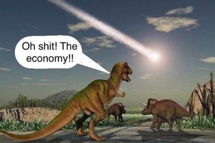 Cartoon showing meteor heading towards the Earth. We can see 3 Dinosaurs with the meteor in the sky. The largest dinosaur has a speech bubble coming out of its mouth and is saying "Oh shit! The economy!". 