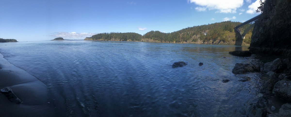 PascalFoley's tweet image. 