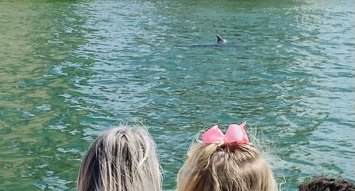 ccglaser's tweet photo. It was a beautiful day on the water with our guests from Michigan π¬βοΈ Dolphins, Sunshine & shells π #boatcaptainrealtor #yourdayonthewater #fortmyersbeach https://t.co/yQjfwmdpBm