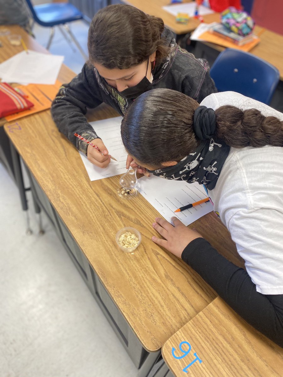 MrsKBurris's tweet photo. 4th grade received mealworms today to observe their life cycle! #lifecycles #Science https://t.co/TYsLZnRBQ7