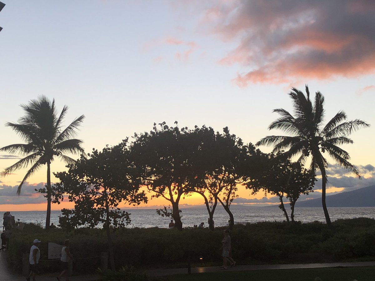 Dr. Alan Albarran tweet media