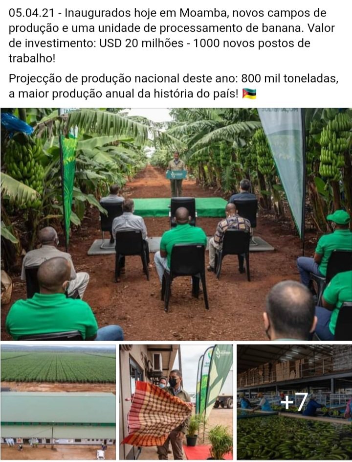 CelsoIsmaelCor1's tweet photo. #SUSTENTA 🇲🇿 https://t.co/FKZLrBiFXI