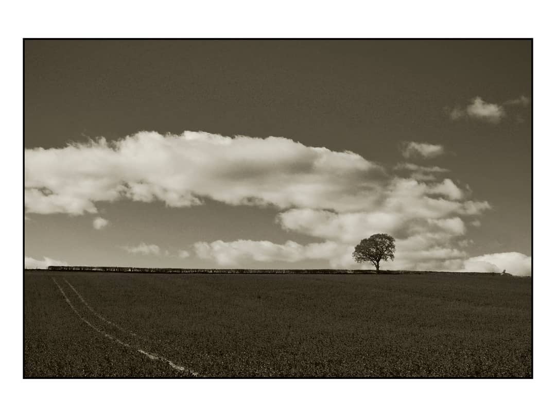 andrewhiggins1's tweet photo. Trees, sky and shadows. 
Seen on my walk today, the light was great, the feet were aching, good to be getting the miles in.
#wherelumixgoes #lumixGX9 #lumix1445mm #monolandscape #bnw_photography #lightandshadow…

📸 https://t.co/lExwsSF3am via https://t.co/jtqyFDojY7 https://t.co/nCcZ1GG99S