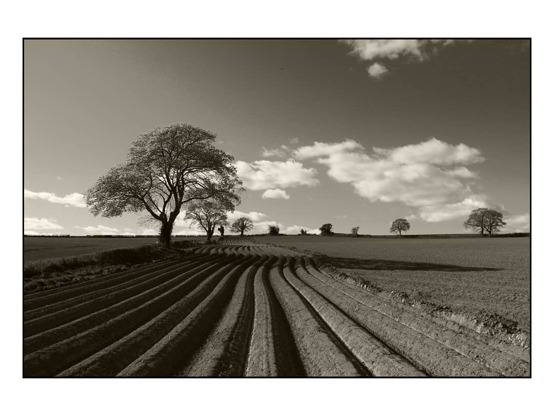 andrewhiggins1's tweet photo. Trees, sky and shadows. 
Seen on my walk today, the light was great, the feet were aching, good to be getting the miles in.
#wherelumixgoes #lumixGX9 #lumix1445mm #monolandscape #bnw_photography #lightandshadow…

📸 https://t.co/lExwsSF3am via https://t.co/jtqyFDojY7 https://t.co/nCcZ1GG99S