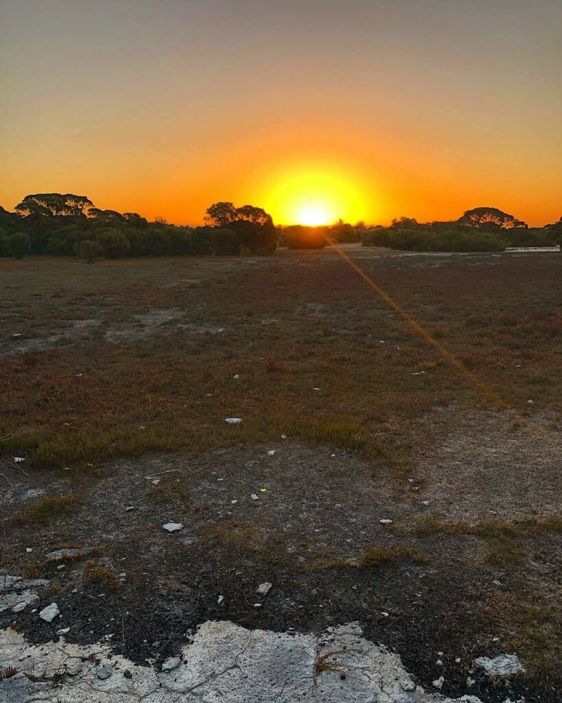 fourfeetpeak's tweet photo. Sunset at the Coorong SA Easter Sunday 2021 ☀️
.
.
.
.
#sunsets #coorongnationalpark #coorong #hikes #sunsethikes #australia #australianbush #trail #trailhikes #wanderlust #goodmorning #theglobewanderer #hikersofinstagram
#earthfocus #earthpix #paradise … https://t.co/L9TfgL2xLq https://t.co/g4JtWxlANI