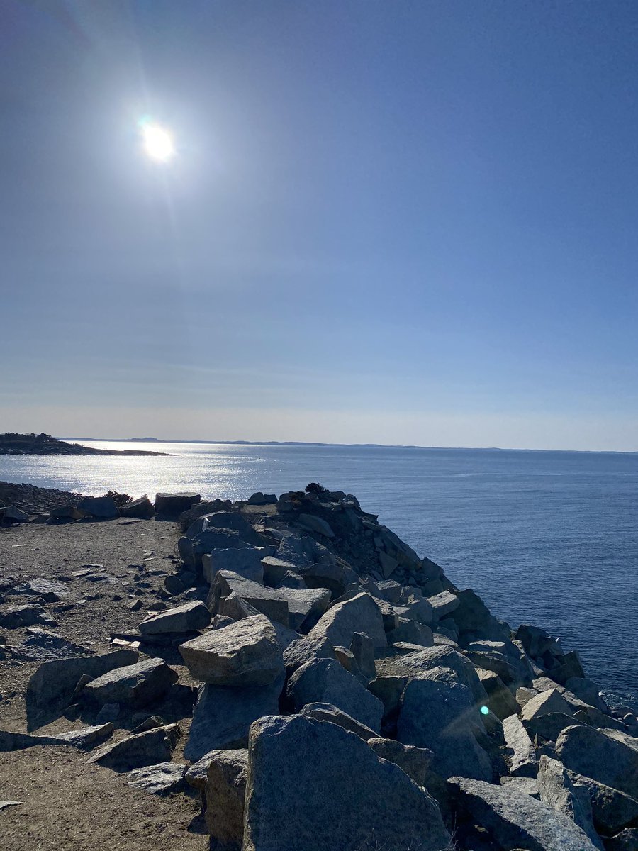 scsnipe's tweet image. take on the world ☀️