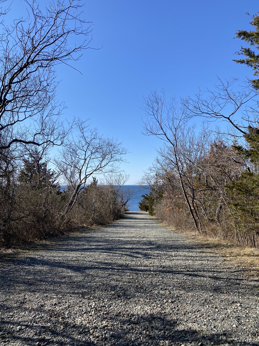 scsnipe's tweet image. take on the world ☀️