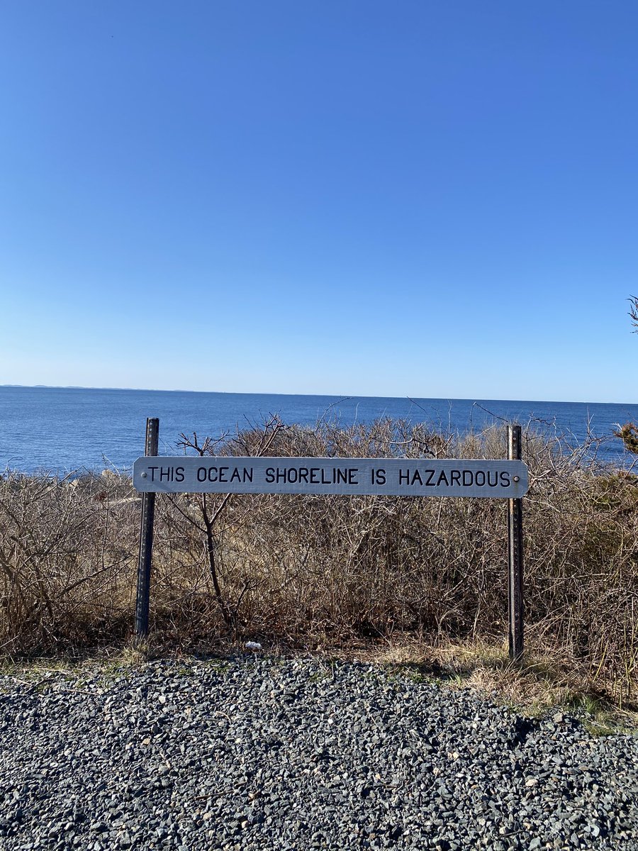 scsnipe's tweet image. take on the world ☀️