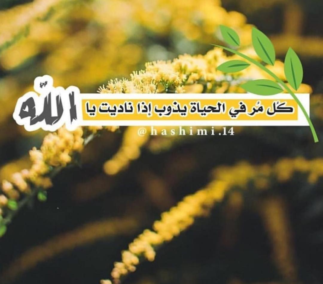 خبيرة تويتر tweet media
