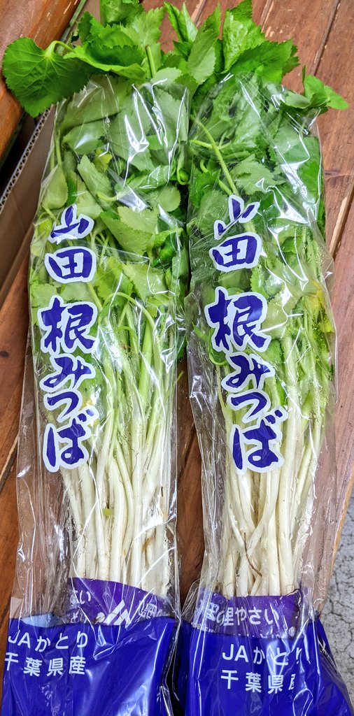 大森青果 馬込屋 千葉県産 根みつば が入荷しました 今が旬 おひたしはもちろん 天ぷらや玉子とじなどにオススメ しっかりとした茎と 糸みつばよりも強い香りで 春を感じさせてくれます 気にならない方は よく洗って 根っこも一緒に食べて 大森青果 馬込屋 千葉県産 根みつば が入荷しました 今が旬 おひたしはもちろん 天ぷらや玉子とじなどにオススメ しっかりとした茎と 糸みつばよりも強い香りで 春を感じさせてくれます 気にならない方は よく洗って 根っこも一緒に食べて