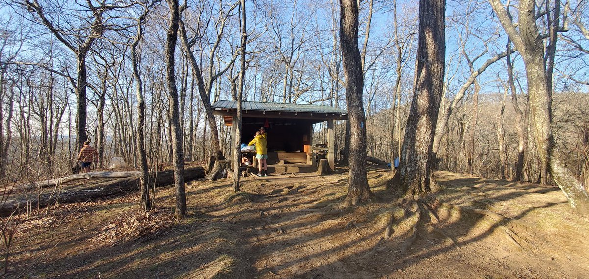 Peter Hodge tweet media