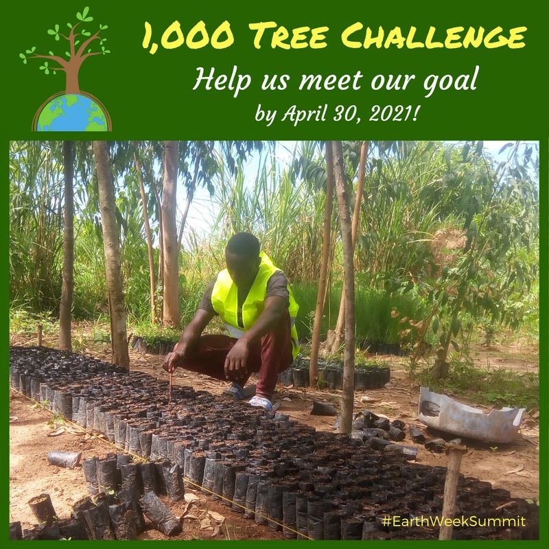 GreenTeamAcade1's tweet photo. Help us meet our goal of funding the planting of 1,000 trees with Mabinju Power House Youth Group by April 30, 2021! We have 180 now, thanks to Victoria, Bill, Darlene, Karen, Paul, Shaina, Laurie, Lynnette, and Kiki! https://t.co/pWIfdI7RKn https://t.co/LVLfGQJsk9