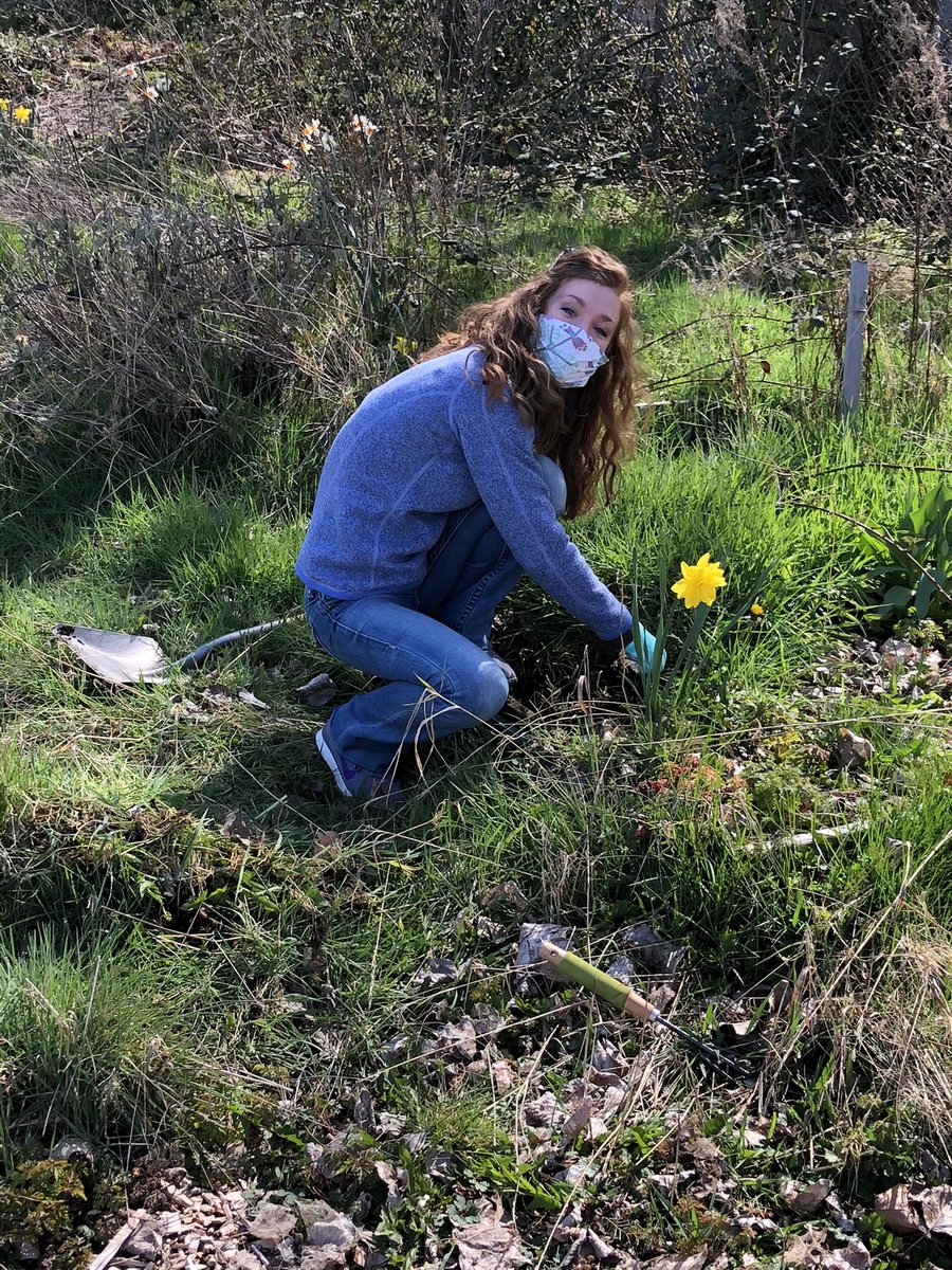 pamelafrnk33's tweet photo. Spending 1st day of Spring Break connecting with families and staff in Community Garden. @RPRoadRunner @Renton_Schools https://t.co/sREyl6gpx1