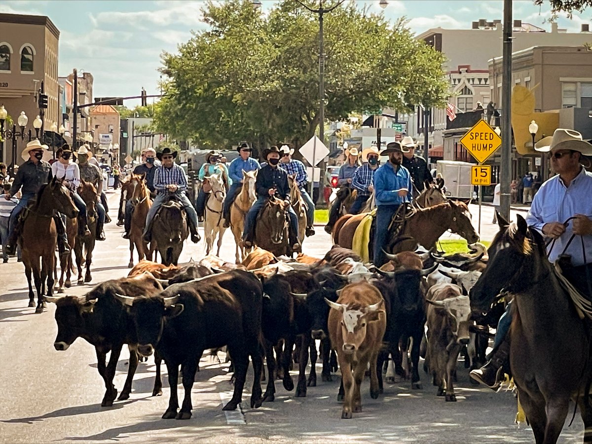 CityofKissimmee's tweet photo. This is not a #ThrowbackThursday! The Cattle Drive is a unique Kissimmee tradition that calls back to our rich rodeo heritage each year leading up to the RAM National Circuit Finals. https://t.co/P6aUCAYu8E