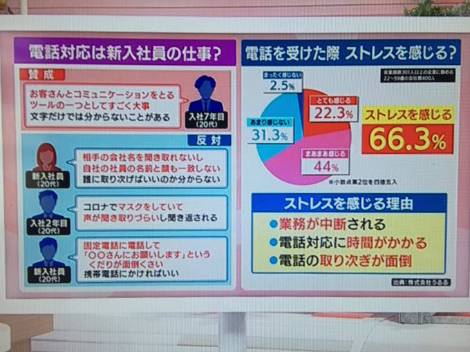 モーニングショー 新入社員に電話応対を任せるのは Telハラ じゃ仕事させたらハラスメントと言われるのかと批判続出 まとめダネ