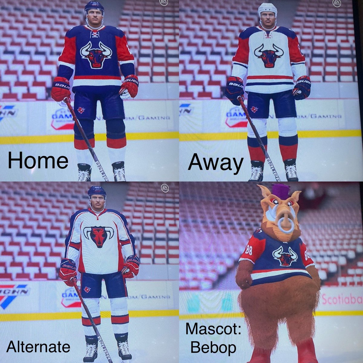 GypsyJimmi's tweet photo. Looking for opinions...Houston Cosmos or Houston Stampede?? Making a franchise on @EASPORTSNHL https://t.co/gLvgaFcbHe