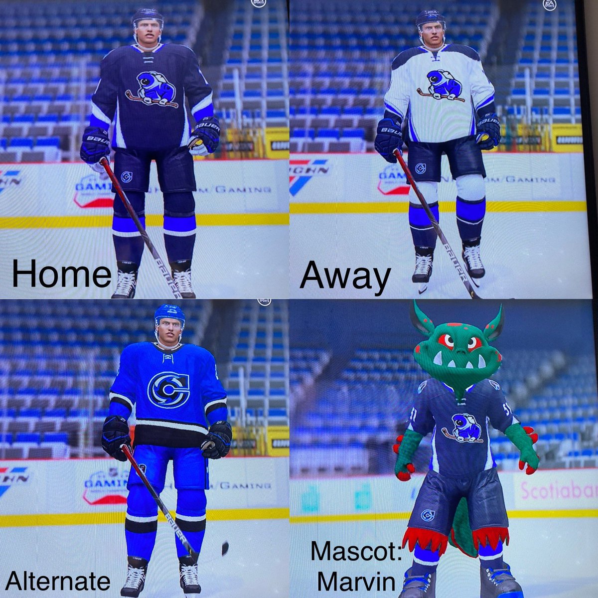 GypsyJimmi's tweet photo. Looking for opinions...Houston Cosmos or Houston Stampede?? Making a franchise on @EASPORTSNHL https://t.co/gLvgaFcbHe