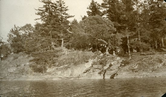 OakBayArchives's tweet photo. #Archive30 Day 16 #ArchiveEnvironment
Rather than a photo of a thermohygrograph, here's the forested bank above the shoreline at McNeill Bay, ca 1915 https://t.co/xKmuRXCMOE
More WW1-era views around Oak Bay from this family album: https://t.co/QhNdJ1zobe https://t.co/hUwl4yhdgx